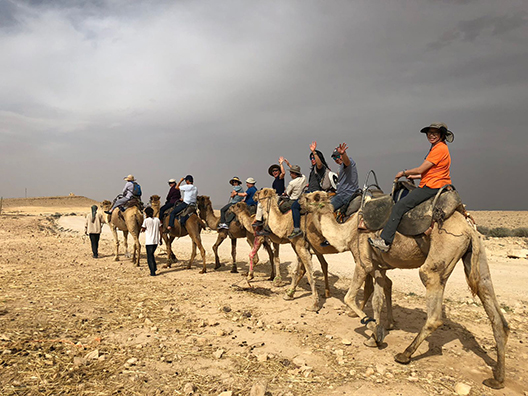 Camel ride – negev